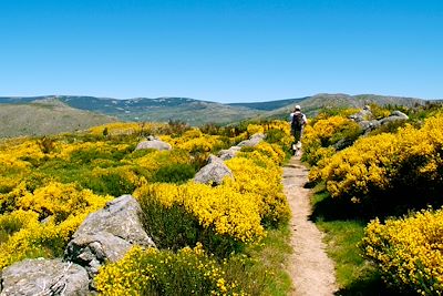 Cantal - Massif Central - France