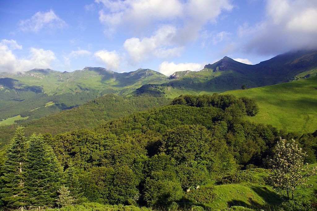 Image GTMC - Randonnée Cantal - Randonnée Sancy - Randonnée Cezallier