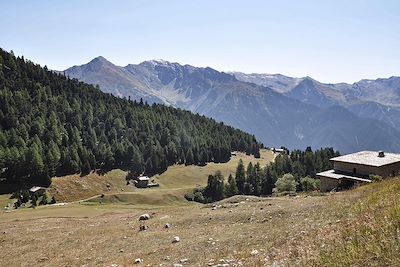 © Jacques Dreano / Alamy / Hemis - Vallon de l'Orgère - Maurienne - Savoie - France Vallon de l'Orgère - Maurienne - Savoie - France