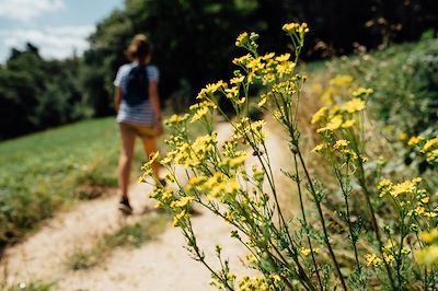 Randonnée en Auvergne - France