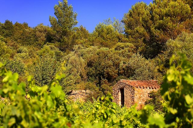 Randonnée : Randonnée au cœur du Pays Cathare Voyage Randonnée au cœur du Pays Cathare