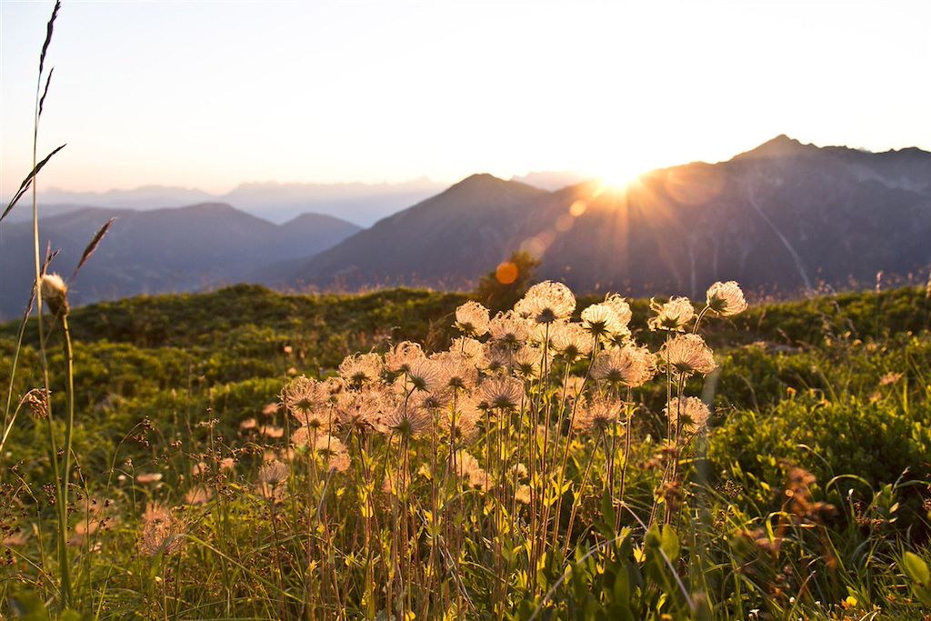 Image Randonnée Mont Blanc - TMB