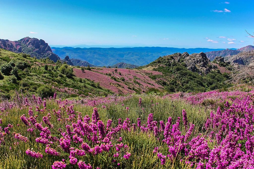 Image Rando Caroux - Randonnée Cévennes - Parc Haut Languedoc