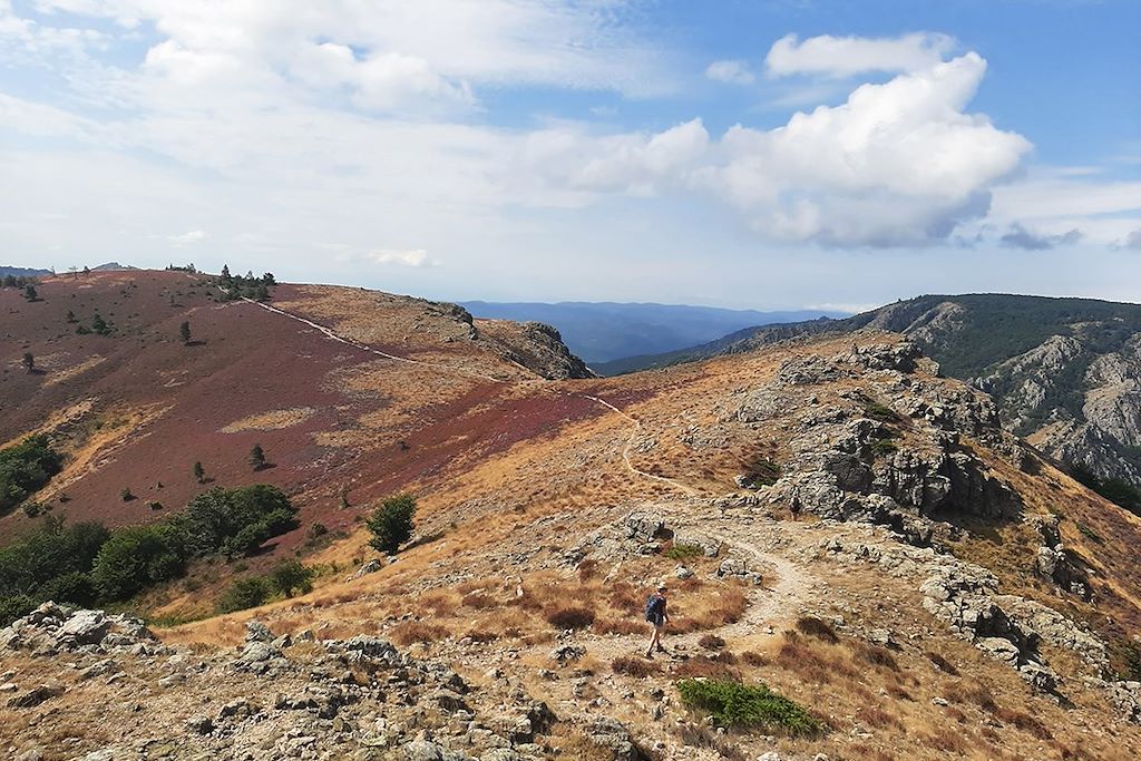Image Randonnée Caroux - Randonnée Haut-Languedoc
