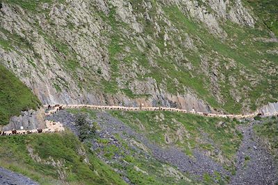 La grande traversée des Pyrénées - France