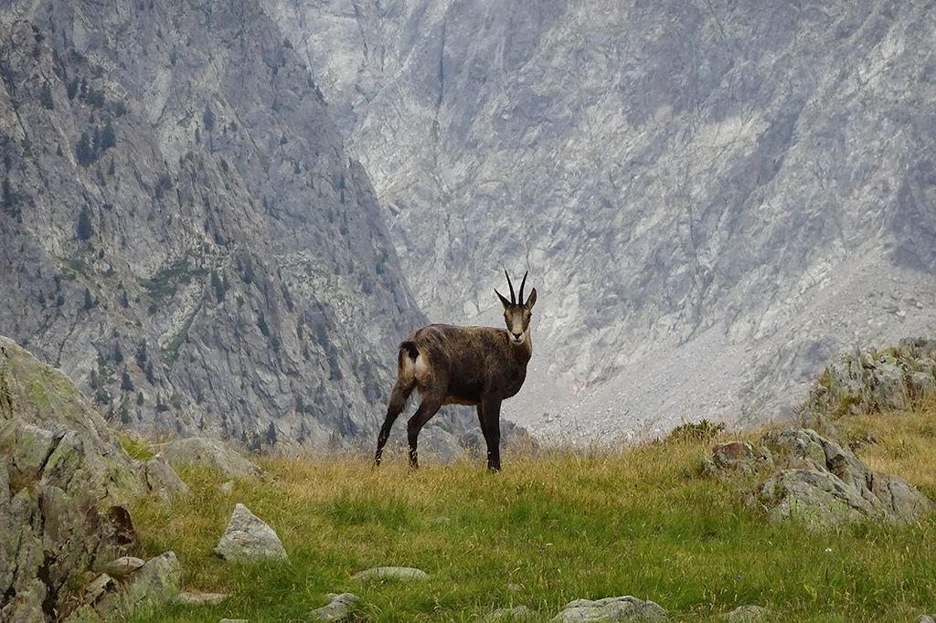 Image Randonnée Mercantour - La vallée des Merveilles