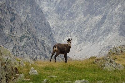 Parc national du Mercantour