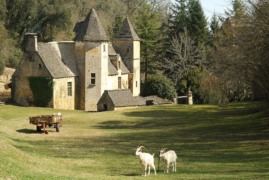 Image Rando Perigord - Canoe Dordogne - Visite Sarlat