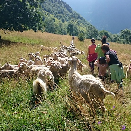 Randonnée France Pyrénées
