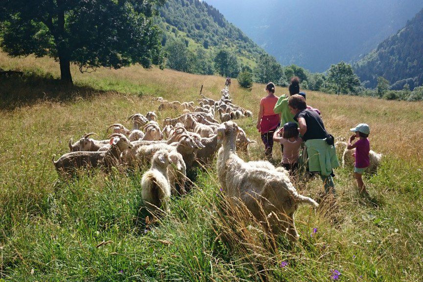 Image Vacances famille - Randonnée Pyrénées