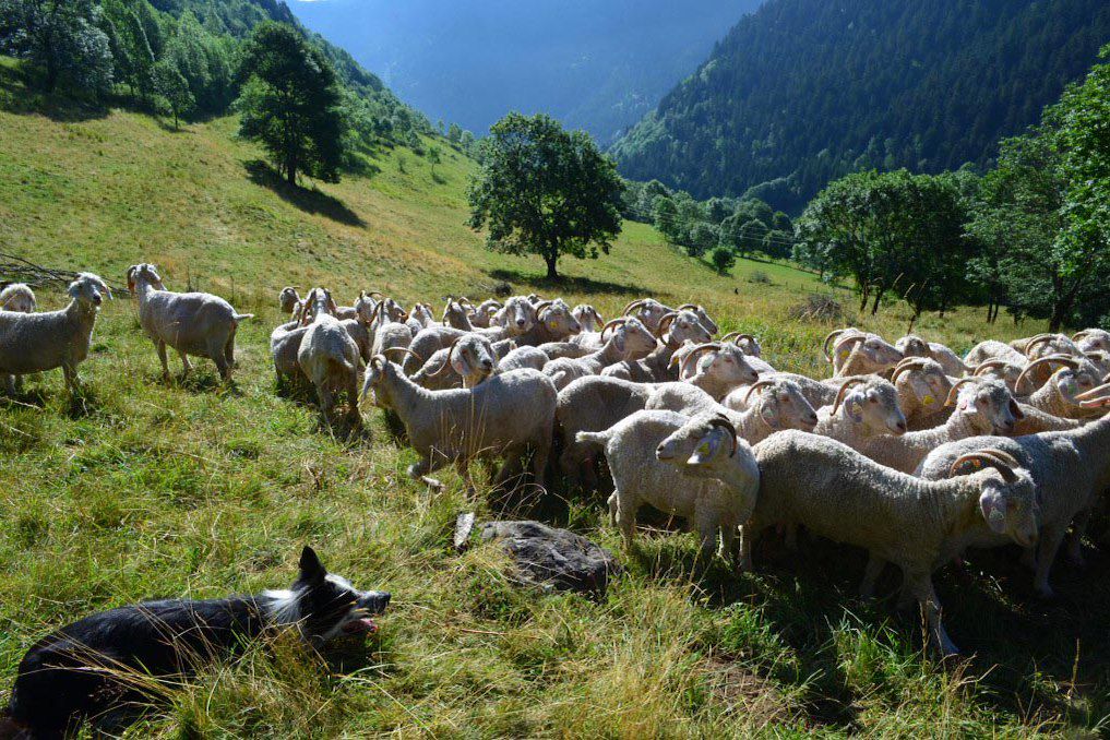 Image Vacances famille - Randonnée Pyrénées