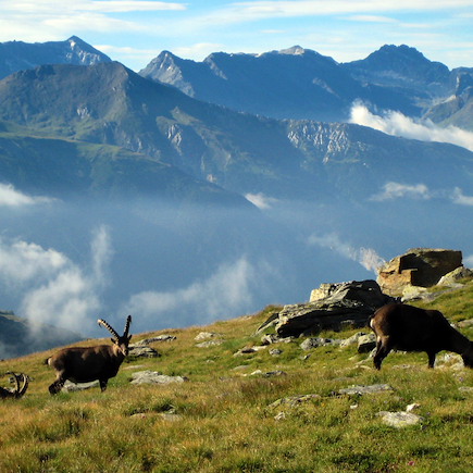 Randonnée France Alpes du Nord