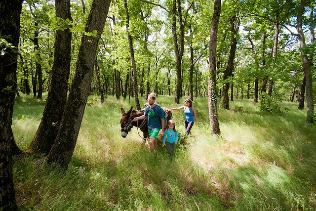 Voyage Les Pyrénées cathares avec un âne