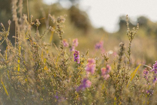 Voyage Trièves, votre voyage famille éco-responsable