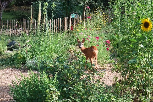 Voyage Immersion éco-responsable en famille