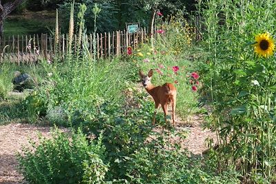 Jardin de votre hébergement - Trièves - France