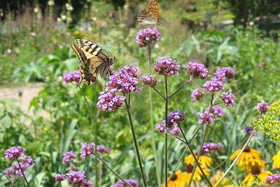 Jardin de votre hébergement - Trièves - France