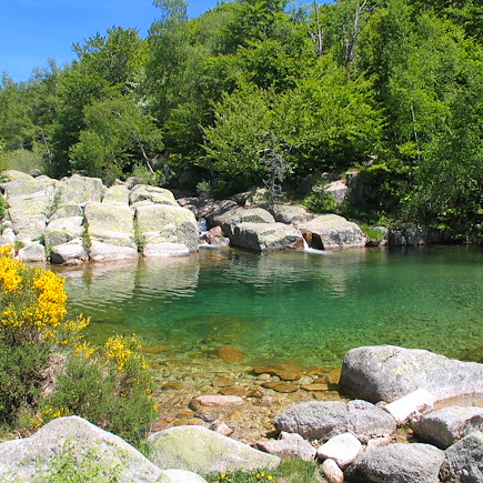 Bien-être Massif Central