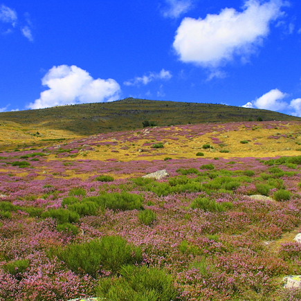 Randonnée France Massif Central