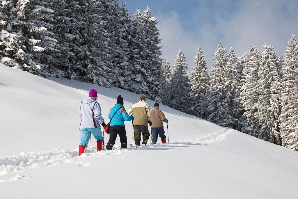 Image Randonnée raquettes Pyrénées - Randonnée Cerdagne