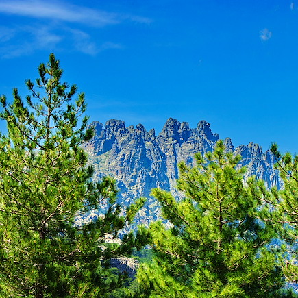 Trek France Corse