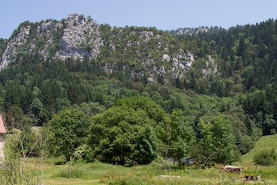 Les Ecouges - Vercors - France