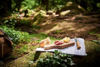 Pique-nique en forêt