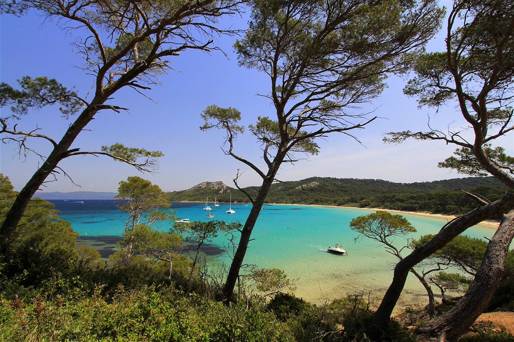 Image Sentier Port Cros - Randonnée Porquerolles - Decouverte du Lavandou
