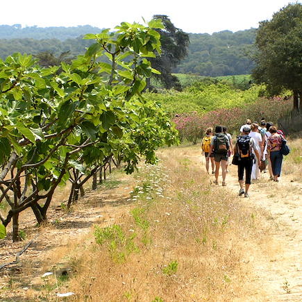 Randonnée France Provence - Côte d'Azur