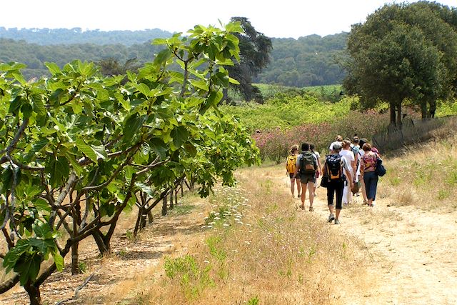 Voyage Côte varoise et sentiers des îles d'Or
