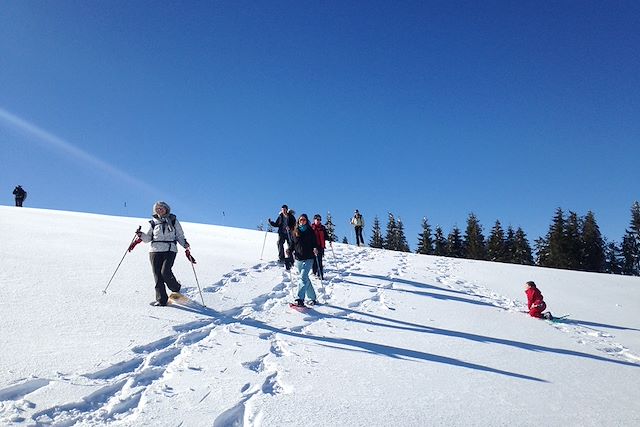 Voyage Raquettes sur le plateau de l'Aubrac
