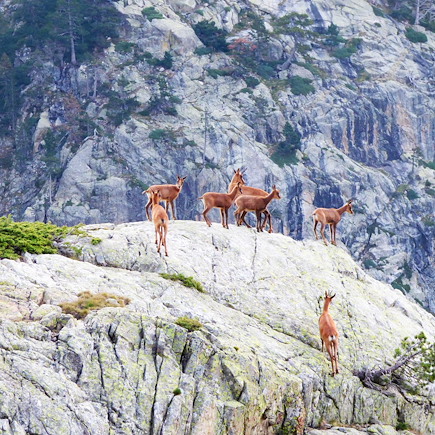 Randonnée France Pyrénées