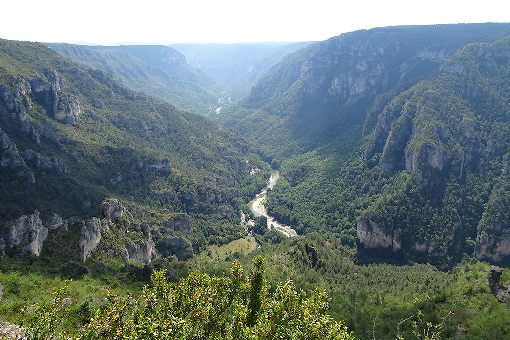 Image Cévennes à vélo - Les Monts du Cantal en gravel - Vignobles à vélo
