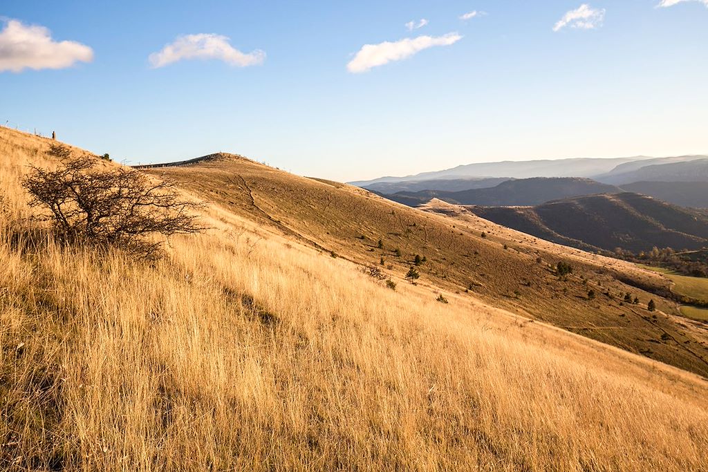 Image Cévennes à vélo - Les Monts du Cantal en gravel - Vignobles à vélo