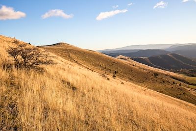 Mont-Lozère - France