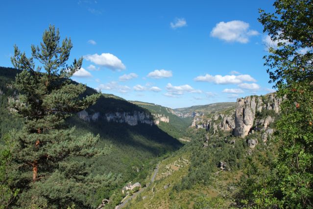 Voyage Les Gorges du Tarn et le Causse Méjean 3