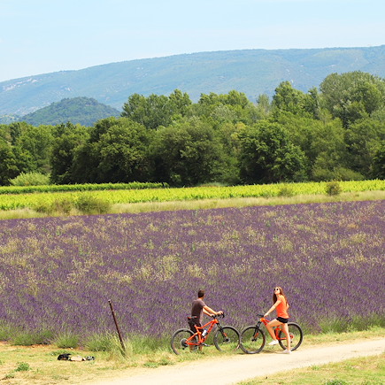 Vélo France Provence - Côte d'Azur