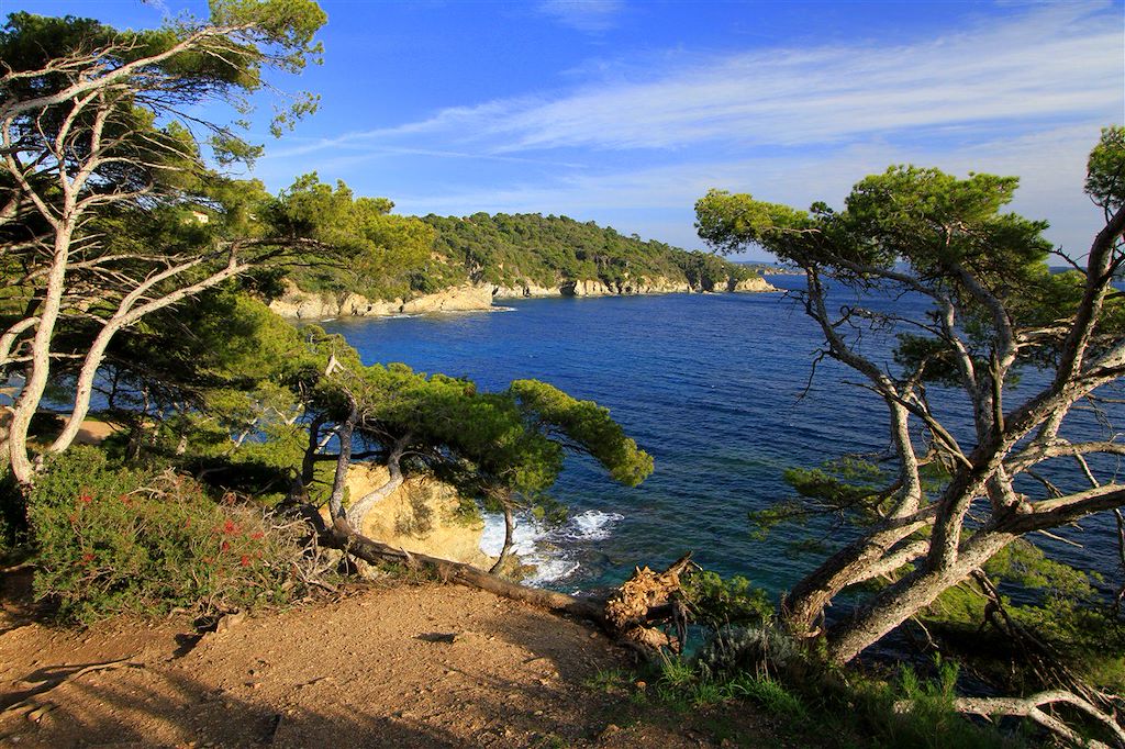 Image Randonnée Porquerolles - Randonnée Massif des Maures
