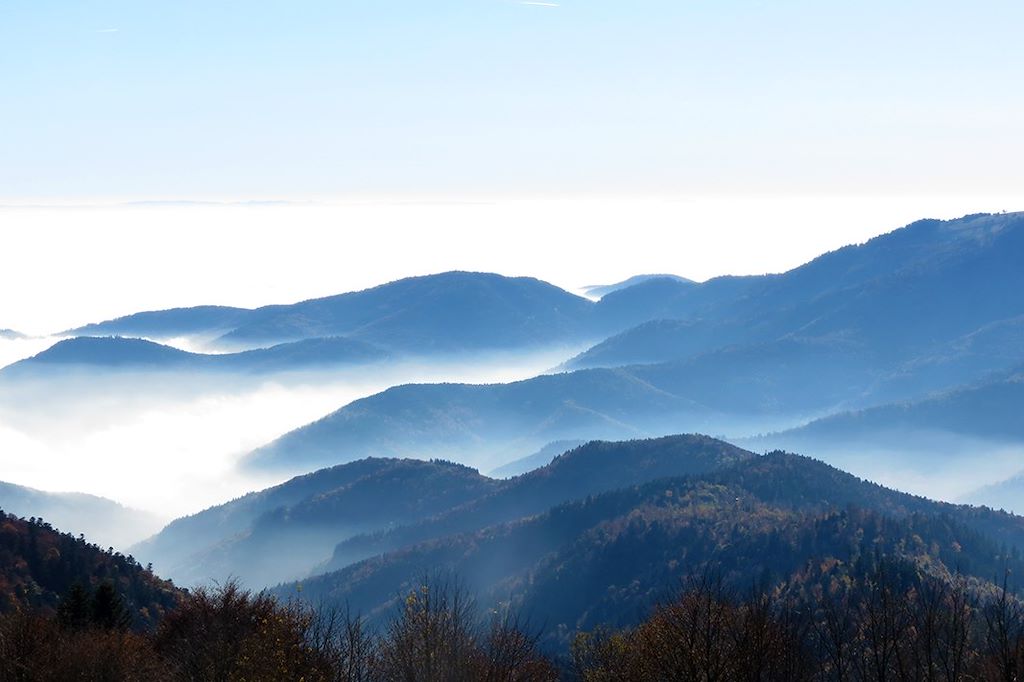 Image Randonnée avec un âne - Rando Vosges