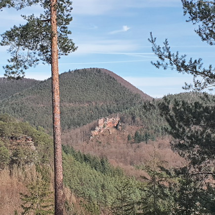 Randonnée avec âne France Autres régions