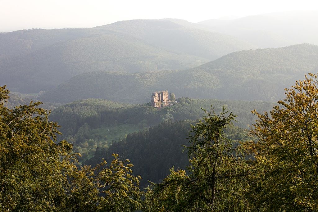 Image Randonnée avec un âne - Rando Vosges