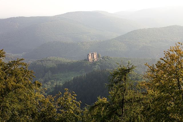 Voyage Escapade vosgienne au pas de l'âne