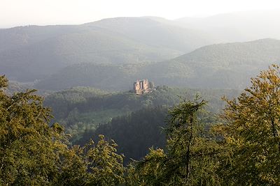 Dans les environs de Obersteinbach  - Parc naturel régional des Vosges du Nord - France
