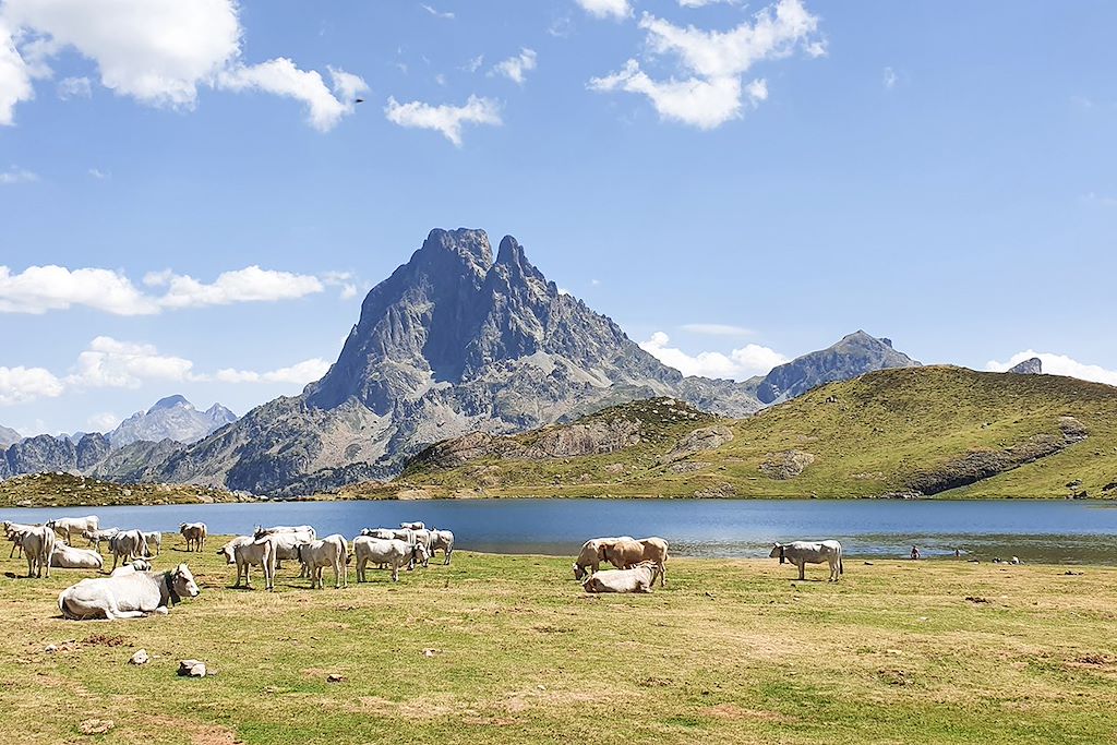 Image Randonnee Entre Vallee D'Ossau Et Vallee D'Aspe - Randonnee Pic Du Midi D'Ossau