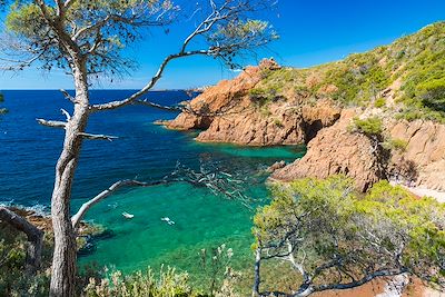 Voyage Provence - Côte d'Azur