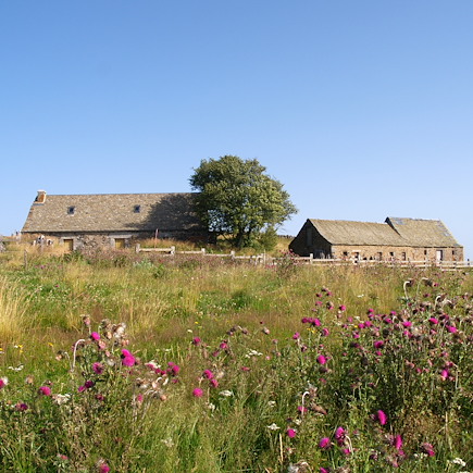 Randonnée France Massif Central