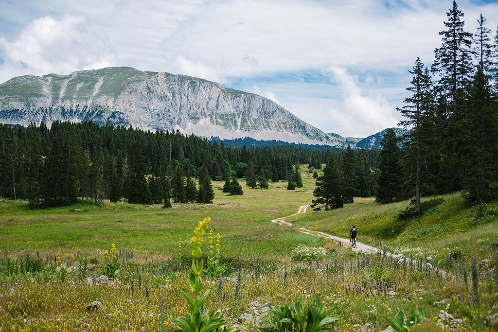 Image Le Vercors en VTT - Parc naturel régional du Vercors - Villard de Lans à vélo