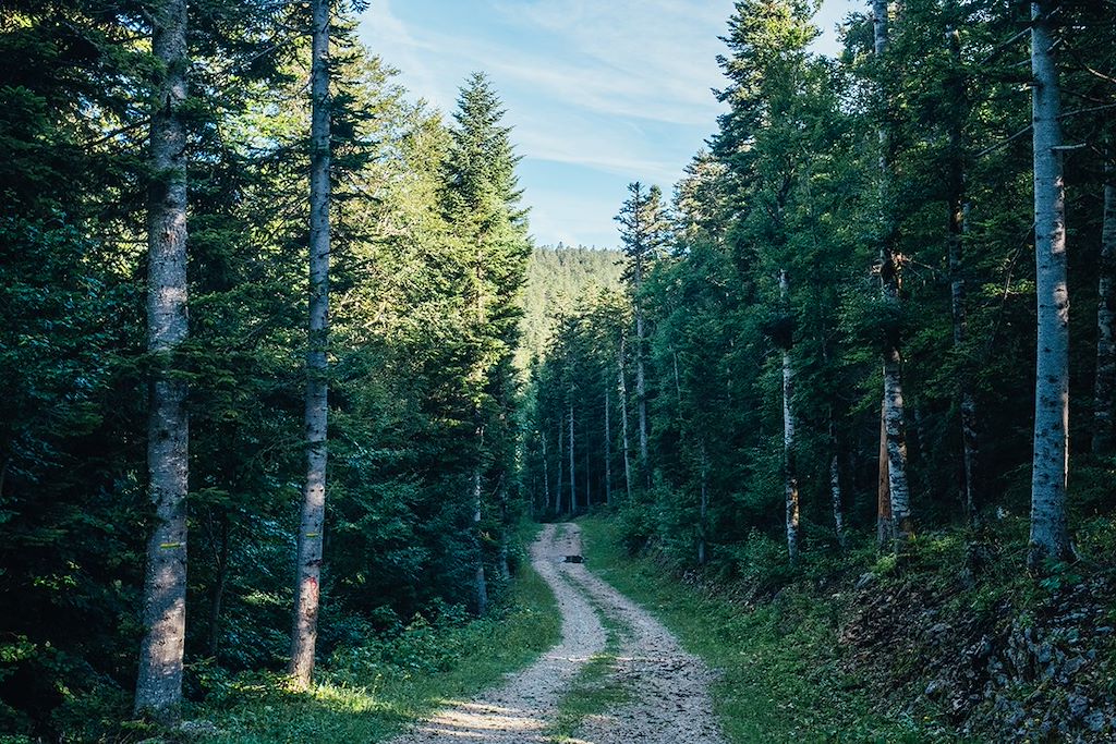 Image Le Vercors en VTT - Parc naturel régional du Vercors - Villard de Lans à vélo