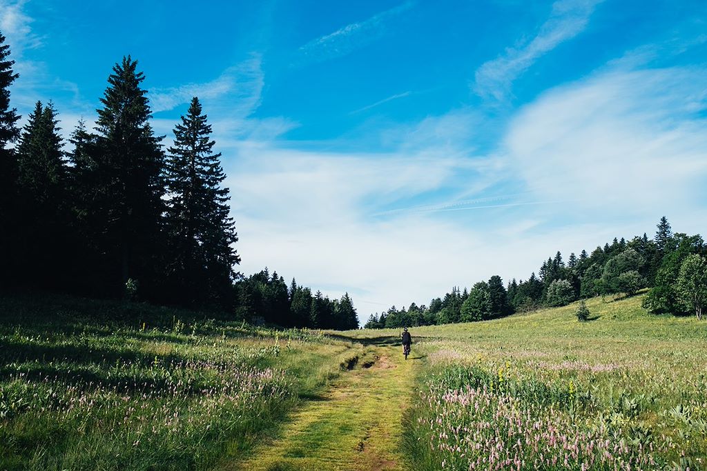 Image Le Vercors en VTT - Parc naturel régional du Vercors - Villard de Lans à vélo