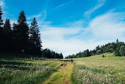 Gravel dans le Vercors - France